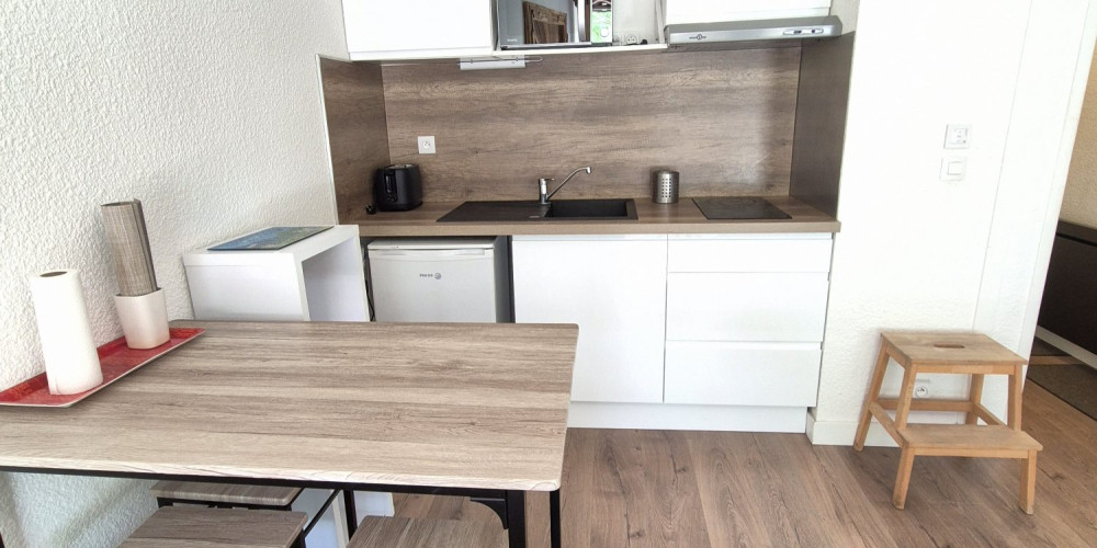 appartement à ST LARY SOULAN (65170)